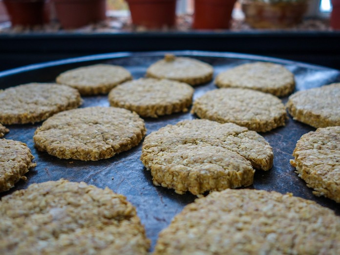 Pumpkin and oatmeak cookies for cats