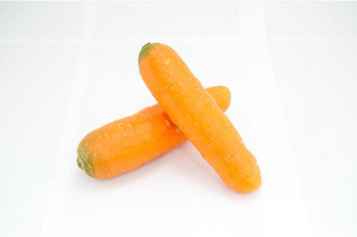 carrots as a healthy snack for my dog