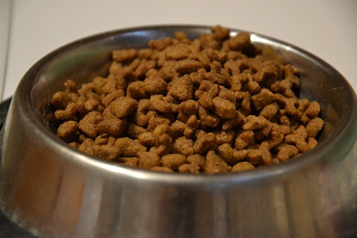 Cat treats in bite-size pieces in a bowl