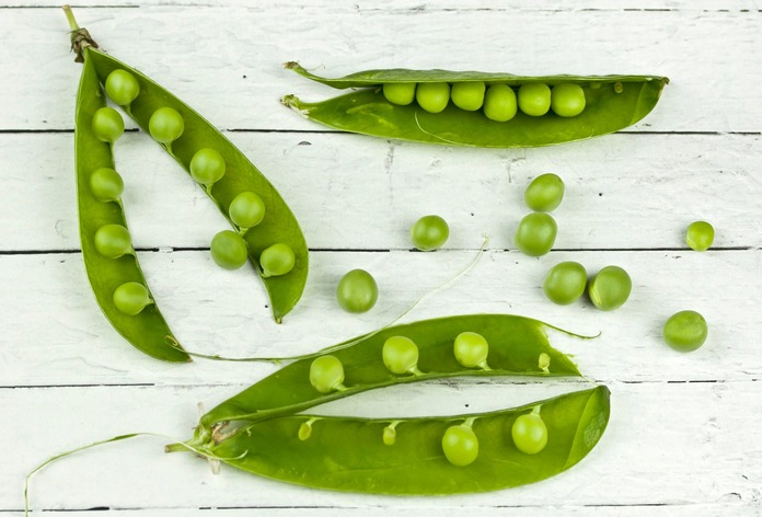 Green peas as a healthy snack for my dog